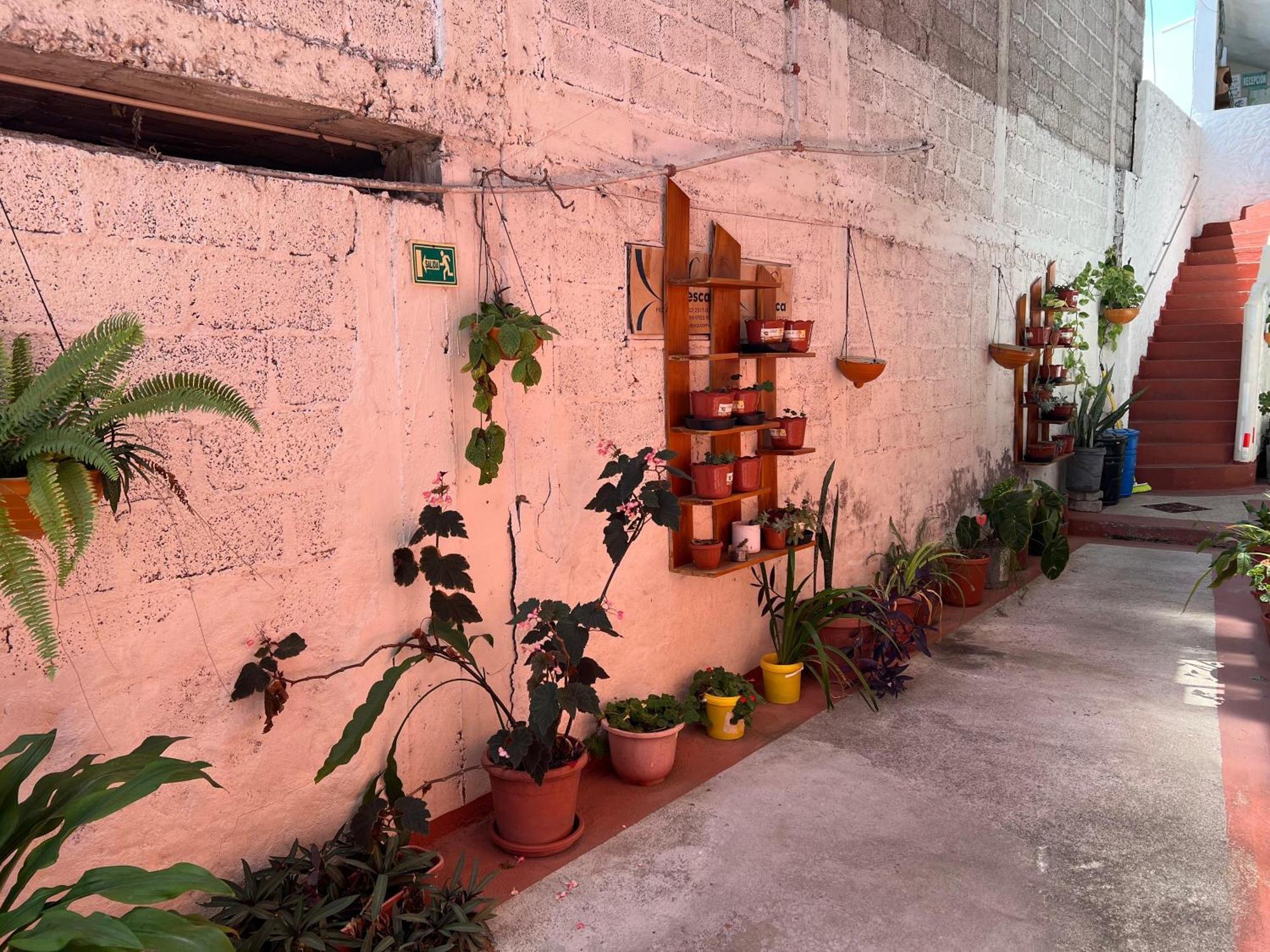 Hostal Cattleya 푸에르토 바케리조 모레노 외부 사진
