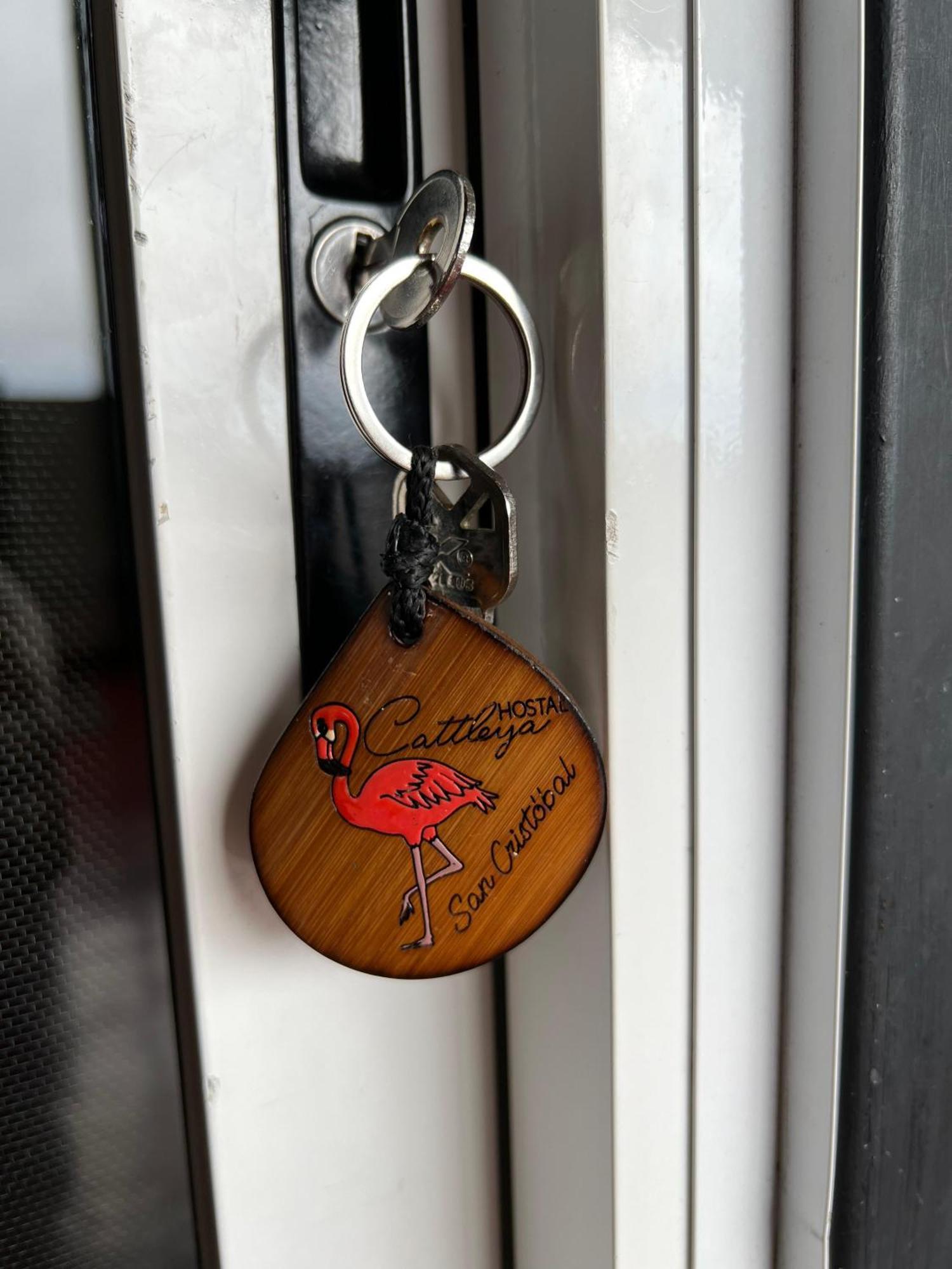Hostal Cattleya 푸에르토 바케리조 모레노 객실 사진