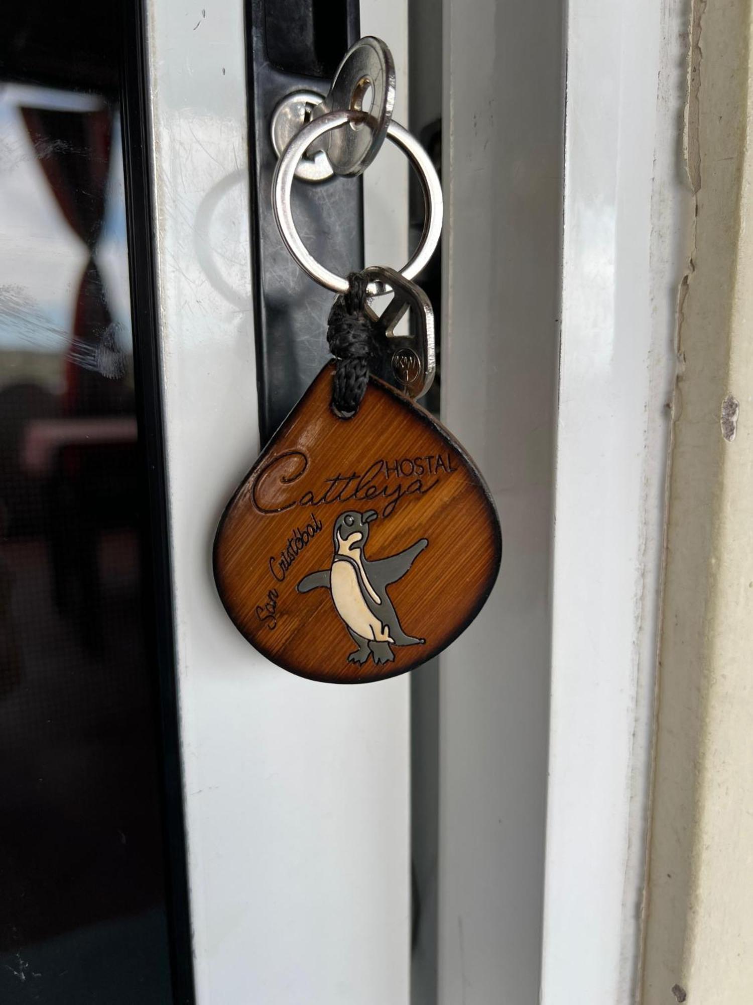 Hostal Cattleya 푸에르토 바케리조 모레노 객실 사진